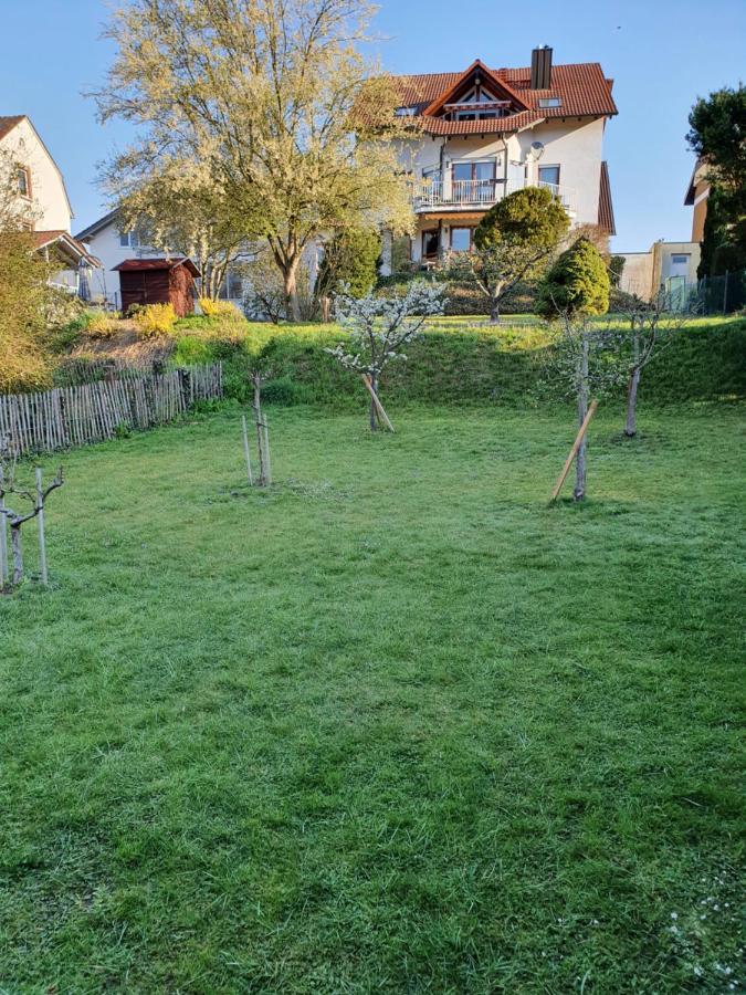 Ferienwohnung Lavendel Lahr (Baden-Wurttemberg) Exterior foto